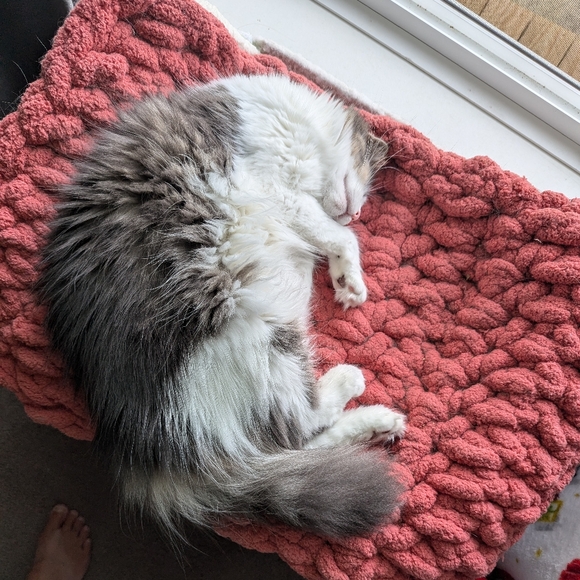 @MCCOYC514 LIVE WITH LAUGHTER - Picture 5 of 13